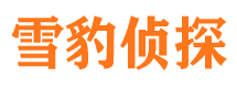 陵县私家侦探公司